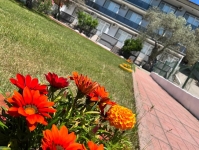 İlker Motel53