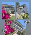 İlker Motel55